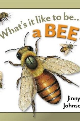 Cover of What's It Like to Be: A Bee?