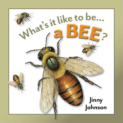 Book cover for What's It Like to Be: A Bee?