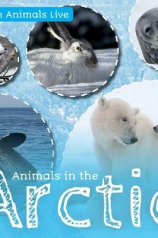 Cover of Animals in the Arctic