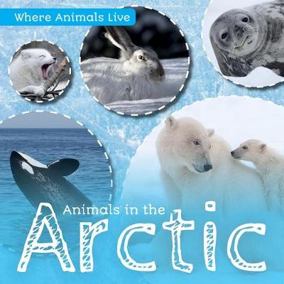 Book cover for Animals in the Arctic