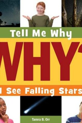 Cover of I See Falling Stars