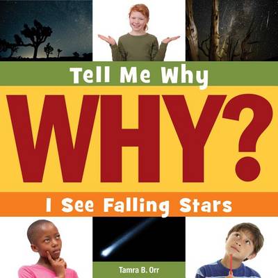 Book cover for I See Falling Stars