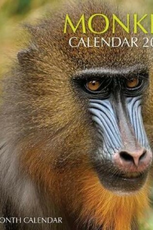 Cover of Monkey Calendar 2017