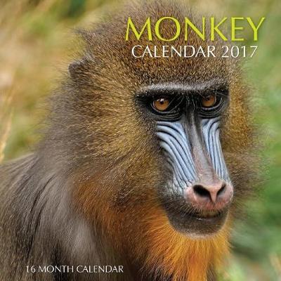 Book cover for Monkey Calendar 2017