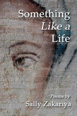 Book cover for Something Like a Life