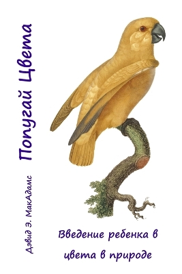 Book cover for Попугай Цвета
