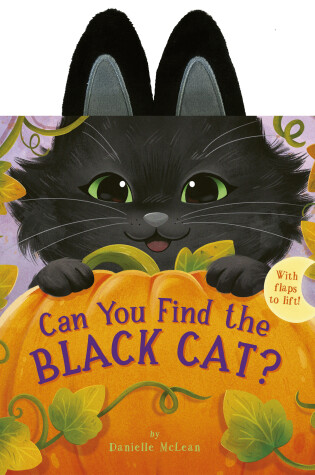 Cover of Can You Find the Black Cat?