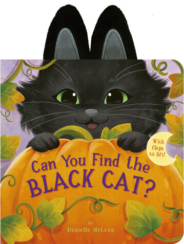 Book cover for Can You Find the Black Cat?