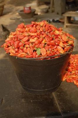 Book cover for Red Chile Peppers in a Bucket Harvest Journal