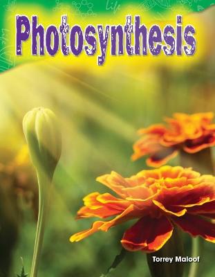 Cover of Photosynthesis