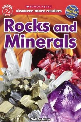 Book cover for Rocks and Minerals