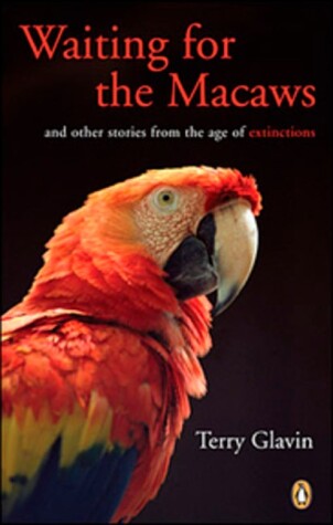 Book cover for Waiting for the Macaws