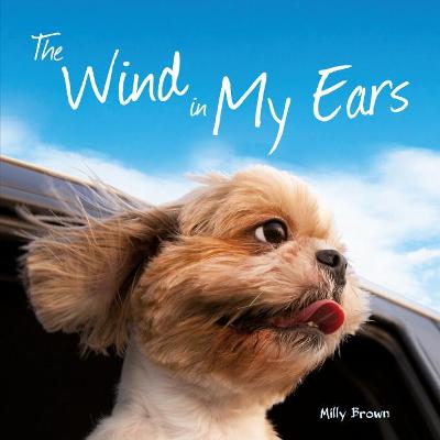 Book cover for The Wind in My Ears