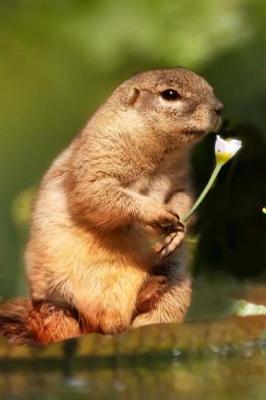 Book cover for Cute Squirrel with a White Flower Animal Journal