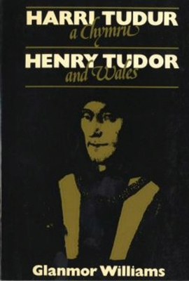 Book cover for Harri Tudur a Chymru