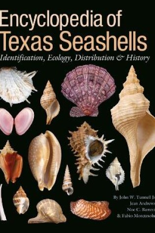 Cover of Encyclopedia of Texas Seashells