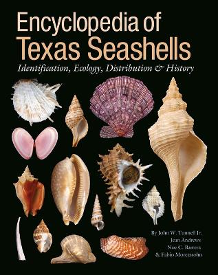 Cover of Encyclopedia of Texas Seashells