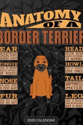 Book cover for Anatomy Of A Border Terrier