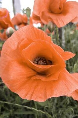 Cover of Orange Poppies in the Field Flower Journal