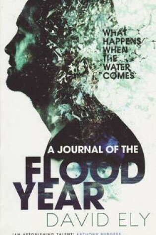 Cover of A Journal Of The Flood Year