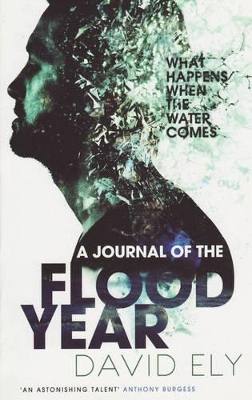 Book cover for A Journal Of The Flood Year