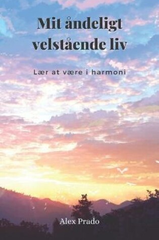 Cover of Mit andeligt velstaende liv