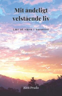 Book cover for Mit andeligt velstaende liv