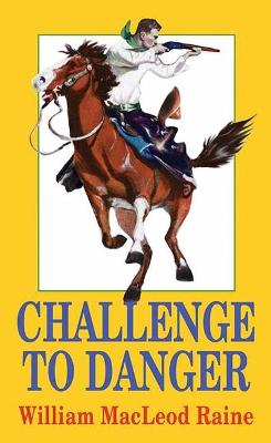 Book cover for Challenge to Danger