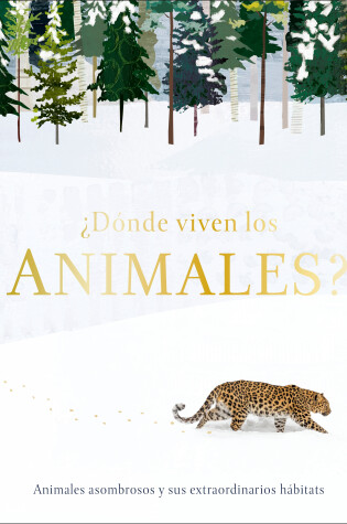 Cover of ¿Dónde viven los animales? (Through the Animal Kingdom)