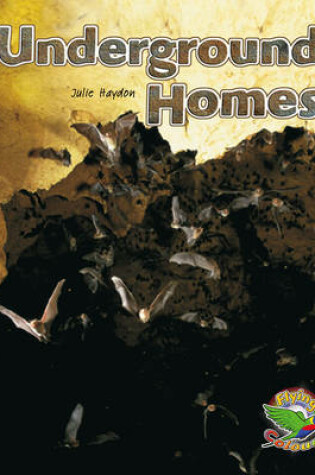 Cover of Underground Homes