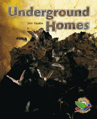 Book cover for Underground Homes