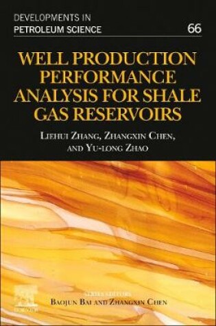 Cover of Well Production Performance Analysis for Shale Gas Reservoirs