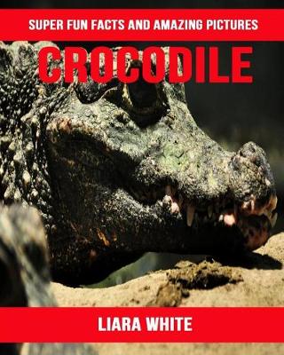 Book cover for Crocodile