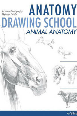 Cover of Anatomy Drawing School Animal Anatomy