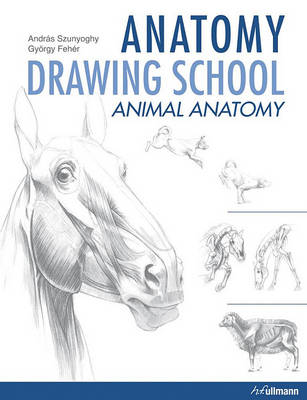 Book cover for Anatomy Drawing School Animal Anatomy