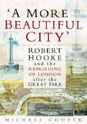 Book cover for A More Beautiful City