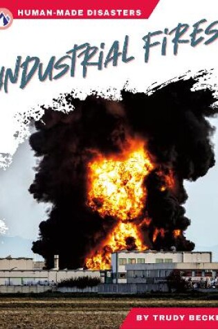 Cover of Human-Made Disasters: Industrial Fires