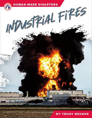 Book cover for Human-Made Disasters: Industrial Fires