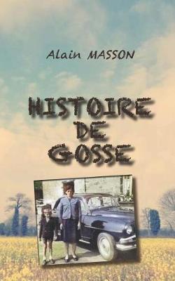 Book cover for Histoire de Gosse