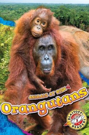 Cover of Orangutans