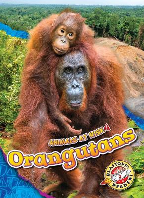 Book cover for Orangutans