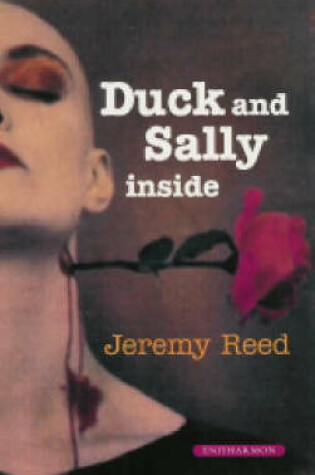 Cover of Duck and Sally on the Inside