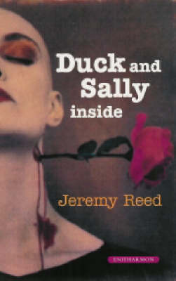 Book cover for Duck and Sally on the Inside