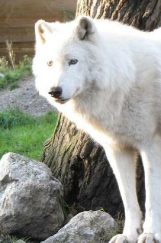 Cover of Beautiful White Wolf, for the Love of Animals