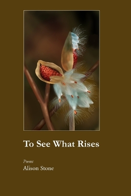 Book cover for To See What Rises