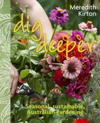 Book cover for Dig Deeper