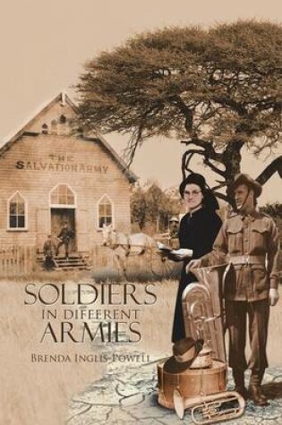 Cover of Soldiers in Different Armies