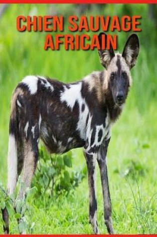 Cover of Chien Sauvage Africain