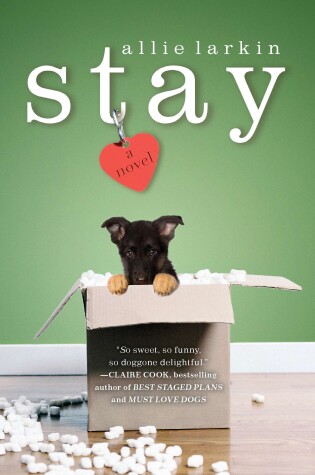 Book cover for Stay