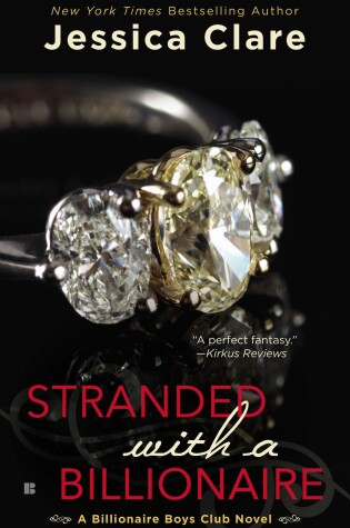 Cover of Stranded with a Billionaire